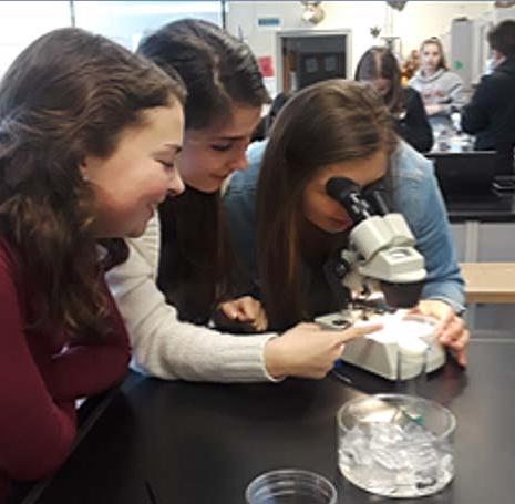 Olean High School students enjoy intro to Biotechnology & Lab